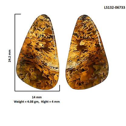 Plume Agate Pair 14x24.2x4 mm Fancy Shape Polished Gemstone LS132-06733