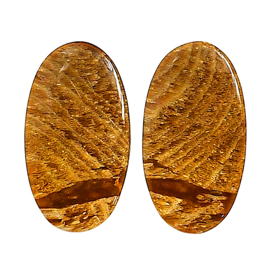 Plume Agate Pair 14.1x25.75x4.3 mm Oval Shape Polished Gemstone LS132-06735