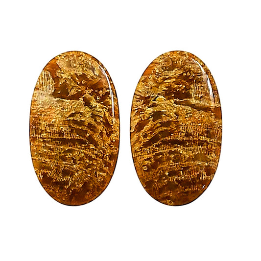 Plume Agate Pair 13.2x13.7x4.5 mm Oval Shape Polished Gemstone LS132-06739