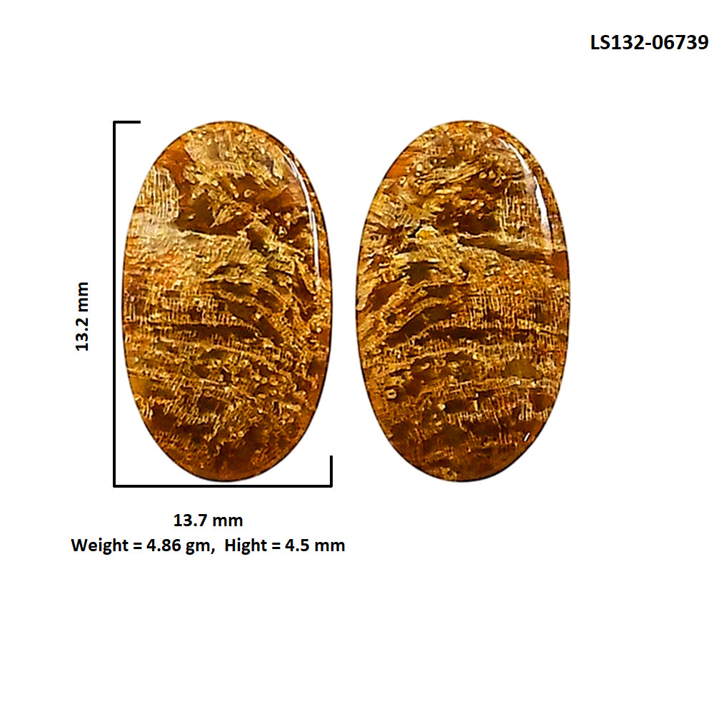 Plume Agate Pair 13.2x13.7x4.5 mm Oval Shape Polished Gemstone LS132-06739