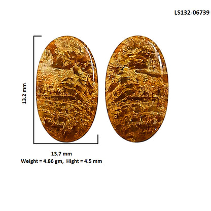 Plume Agate Pair 13.2x13.7x4.5 mm Oval Shape Polished Gemstone LS132-06739