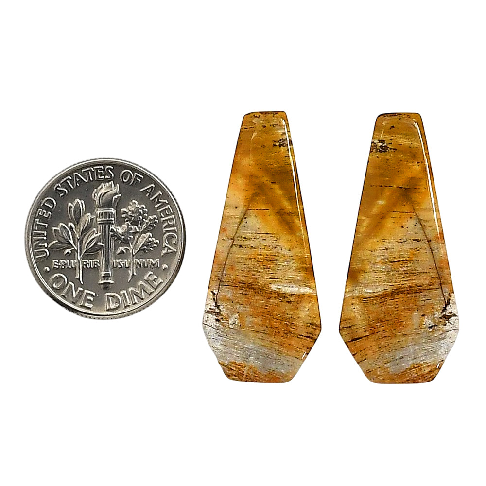 Plume Agate Pair 13.3x29.8x4.4 mm Fancy Shape Polished Gemstone LS132-06740