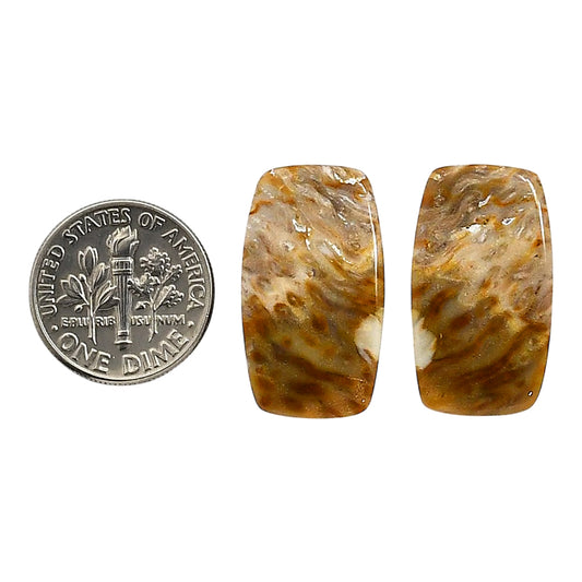 Plume Agate Pair 13.8x24.15x4.3 mm Cushion Shape Polished Gemstone LS132-06742