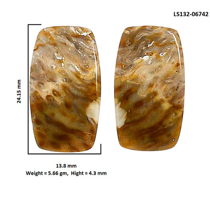 Plume Agate Pair 13.8x24.15x4.3 mm Cushion Shape Polished Gemstone LS132-06742