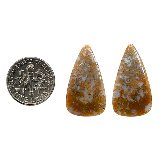 Plume Agate Pair 14.6x26.7x4 mm Pear Shape Polished Gemstone LS132-06743