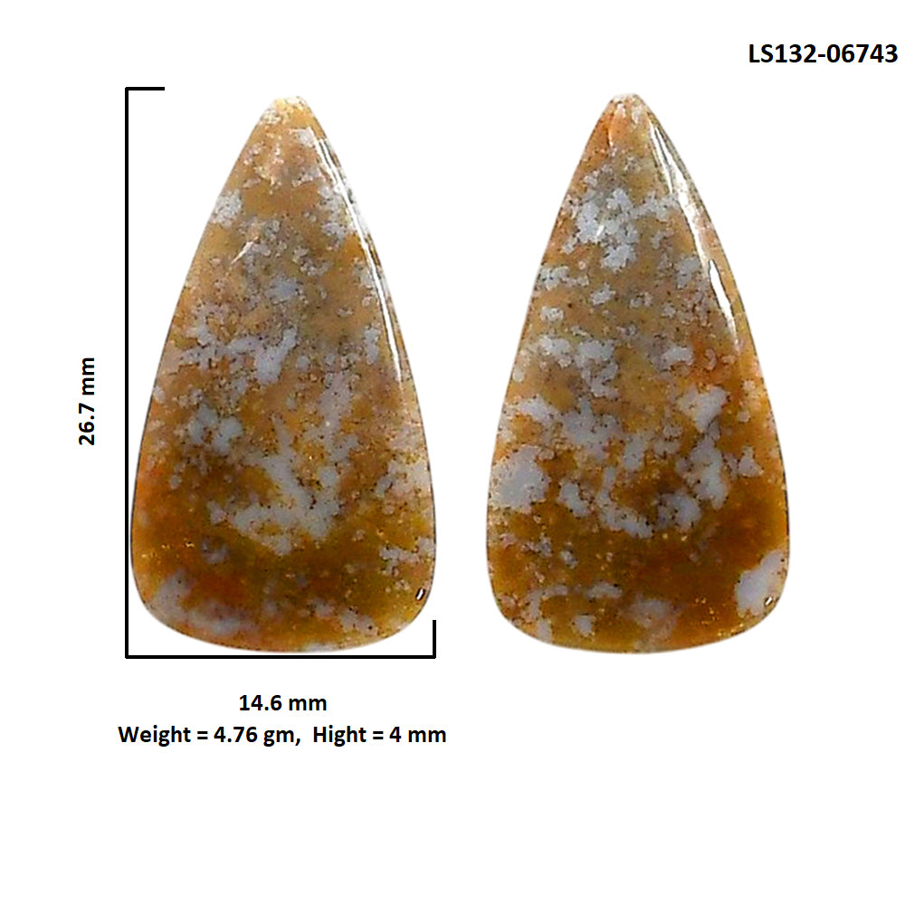 Plume Agate Pair 14.6x26.7x4 mm Pear Shape Polished Gemstone LS132-06743