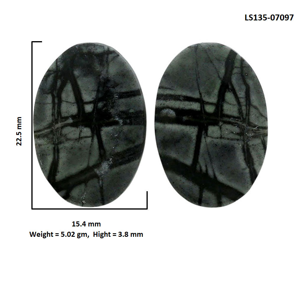 Picasso Jasper Pair 15.4x22.5x3.8 mm Oval Shape Polished Gemstone LS135-07097