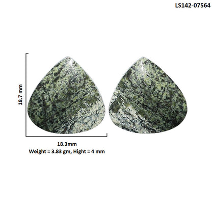 Natural Chrysotile Pair 18.3x18.7x4 mm Heart Shape Polished Gemstone LS142-07564
