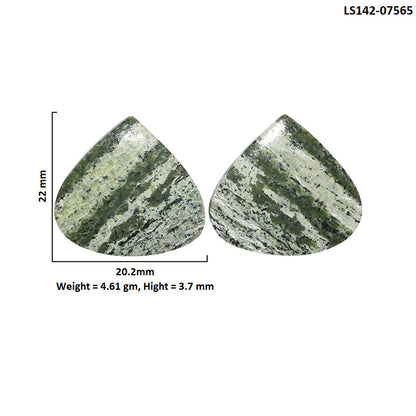 Natural Chrysotile Pair 20.2x22x3.7 mm Heart Shape Polished Gemstone LS142-07565