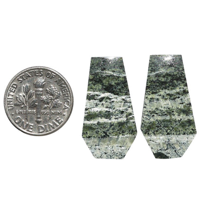 Natural Chrysotile Pair 14.1x26x3.5 mm Fancy Shape Polished Gemstone LS142-07571