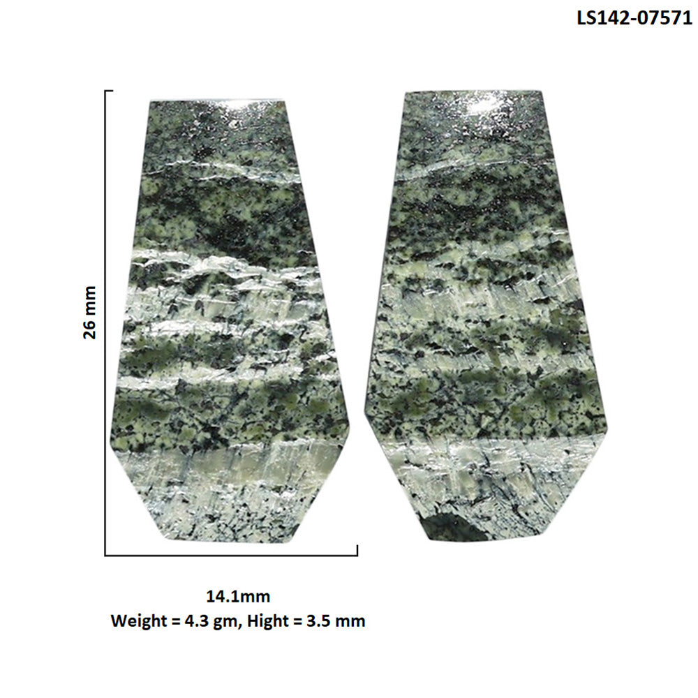 Natural Chrysotile Pair 14.1x26x3.5 mm Fancy Shape Polished Gemstone LS142-07571