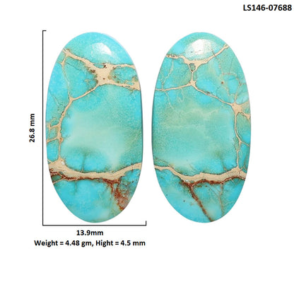 Sea Sediment Jasper Pair 13.9x26.8x4.5 mm Oval Shape Polished Gemstone LS146-07688
