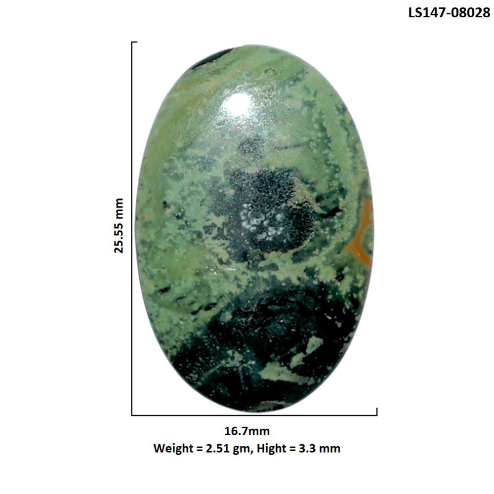 Star Galaxy Jasper 16.7x25.55x3.3 mm Oval Shape Polished Gemstone LS147-08028