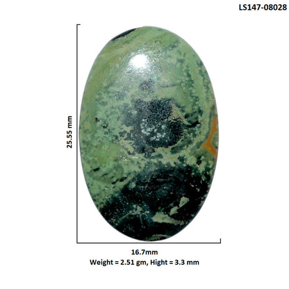 Star Galaxy Jasper 16.7x25.55x3.3 mm Oval Shape Polished Gemstone LS147-08028