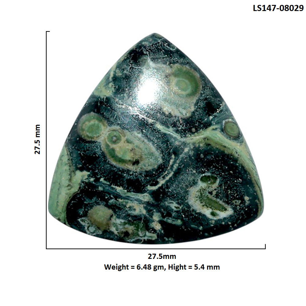 Star Galaxy Jasper 27.5x27.5x5.4 mm Fancy Shape Polished Gemstone LS147-08029