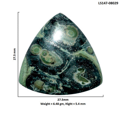 Star Galaxy Jasper 27.5x27.5x5.4 mm Fancy Shape Polished Gemstone LS147-08029