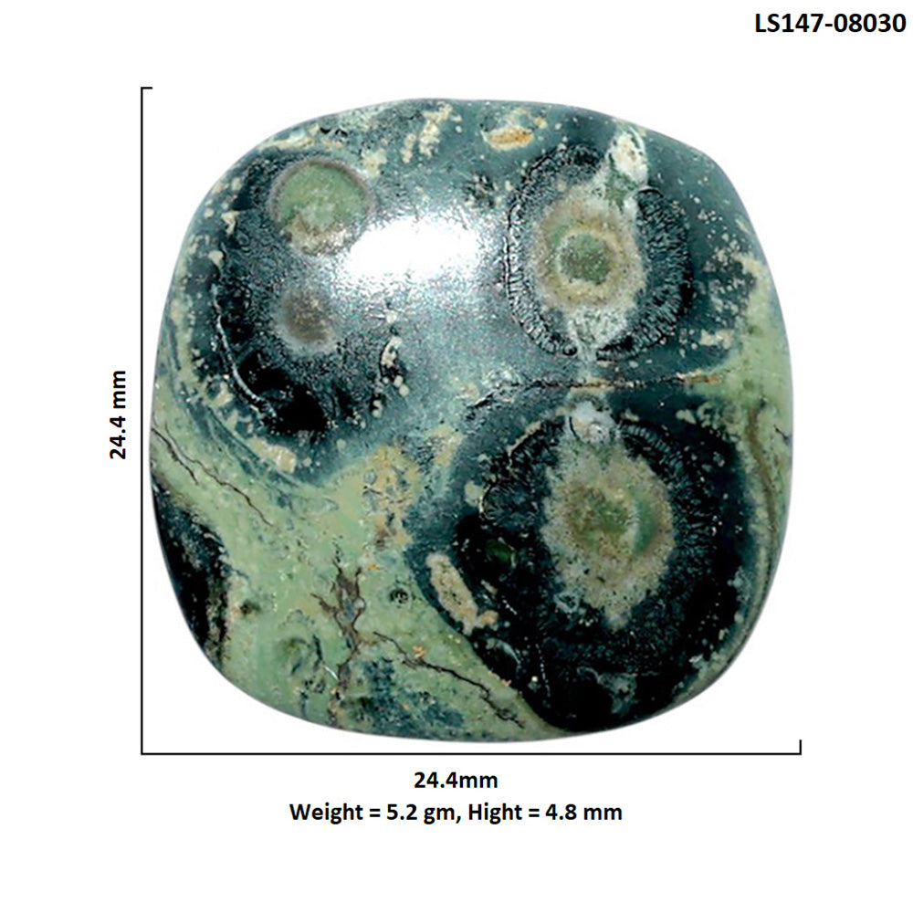 Star Galaxy Jasper 24.4x24.4x4.8 mm Cushion Shape Polished Gemstone LS147-08030