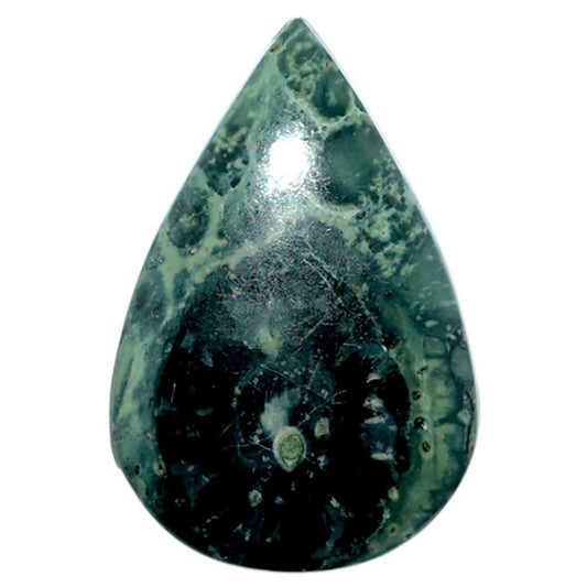 Star Galaxy Jasper 17.9x26.8x5 mm Pear Shape Polished Gemstone LS147-08037