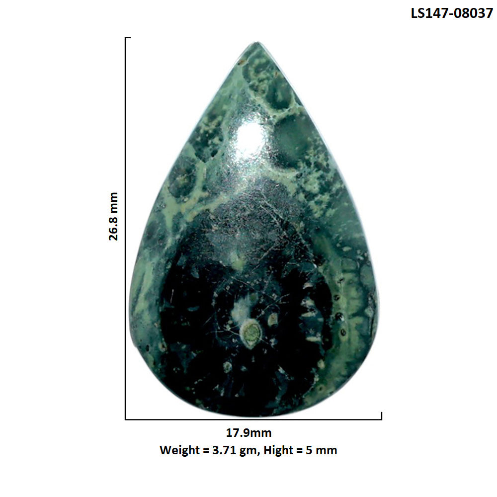 Star Galaxy Jasper 17.9x26.8x5 mm Pear Shape Polished Gemstone LS147-08037