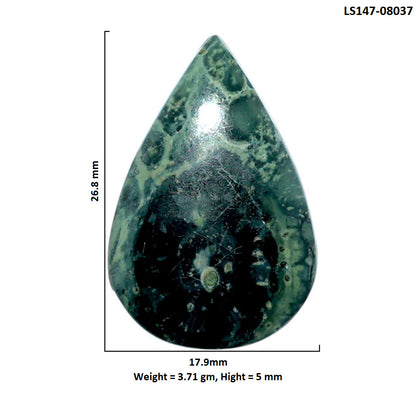 Star Galaxy Jasper 17.9x26.8x5 mm Pear Shape Polished Gemstone LS147-08037