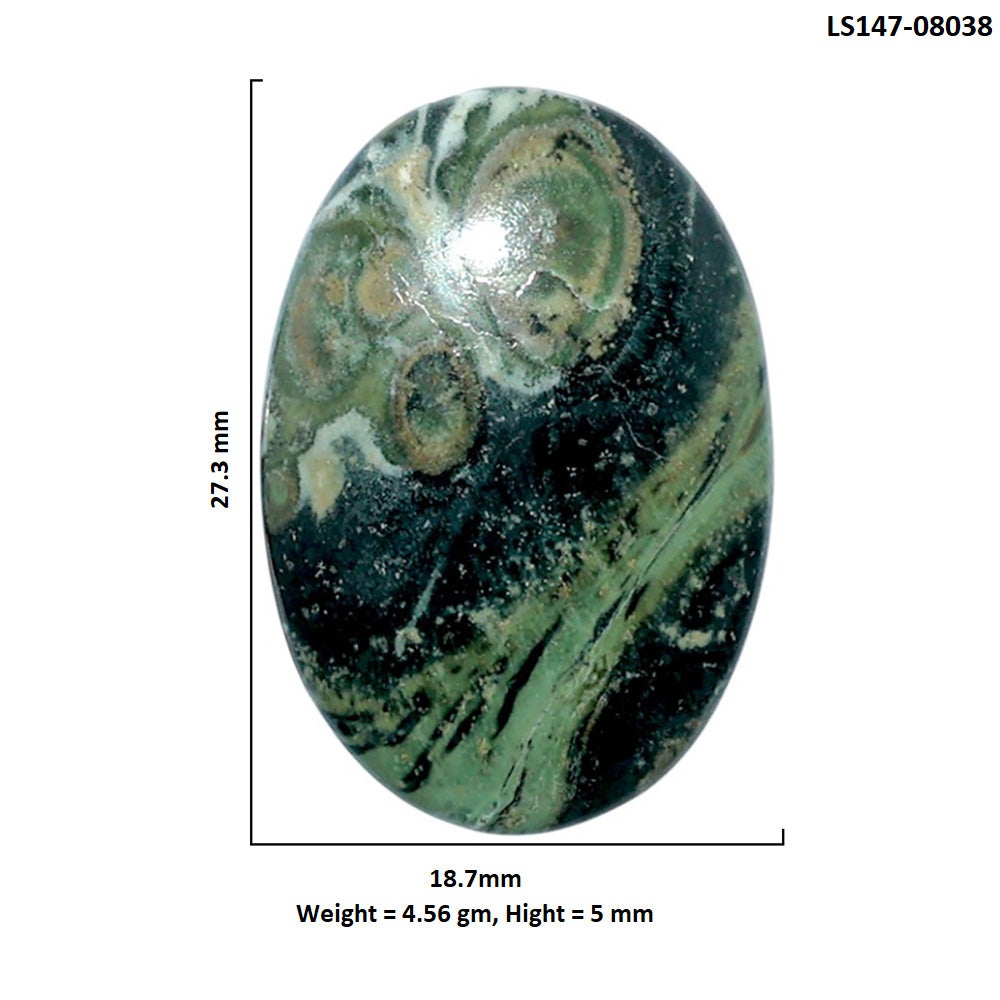 Star Galaxy Jasper 18.7x27.3x5 mm Oval Shape Polished Gemstone LS147-08038