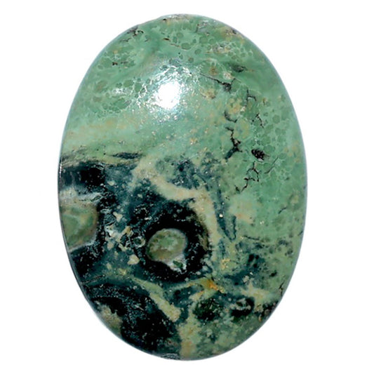 Star Galaxy Jasper 19.4x26.9x5.4 mm Oval Shape Polished Gemstone LS147-08039
