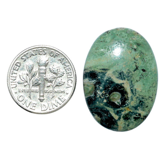 Star Galaxy Jasper 19.4x26.9x5.4 mm Oval Shape Polished Gemstone LS147-08039