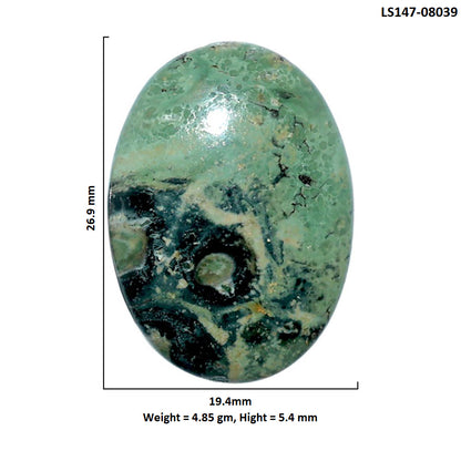 Star Galaxy Jasper 19.4x26.9x5.4 mm Oval Shape Polished Gemstone LS147-08039