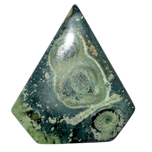 Star Galaxy Jasper 22.9x25.5x3.7 mm Fancy Shape Polished Gemstone LS147-08045
