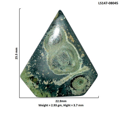 Star Galaxy Jasper 22.9x25.5x3.7 mm Fancy Shape Polished Gemstone LS147-08045