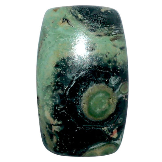 Star Galaxy Jasper 13.3x22x5.5 mm Cushion Shape Polished Gemstone LS147-08047