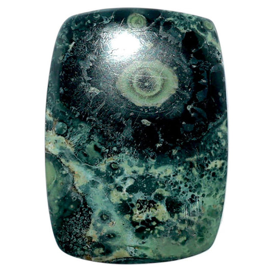 Star Galaxy Jasper 22.75x31.6x4.3 mm Cushion Shape Polished Gemstone LS147-08048