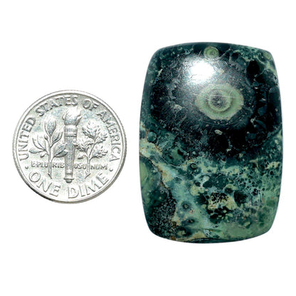 Star Galaxy Jasper 22.75x31.6x4.3 mm Cushion Shape Polished Gemstone LS147-08048