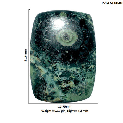 Star Galaxy Jasper 22.75x31.6x4.3 mm Cushion Shape Polished Gemstone LS147-08048