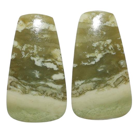 Serpentine Pair 14.8x26.6x3.5 mm Fancy Shape Polished Gemstone LS148-07784