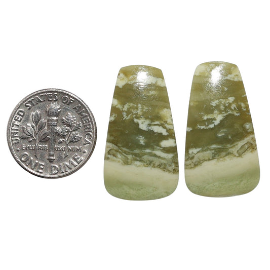 Serpentine Pair 14.8x26.6x3.5 mm Fancy Shape Polished Gemstone LS148-07784