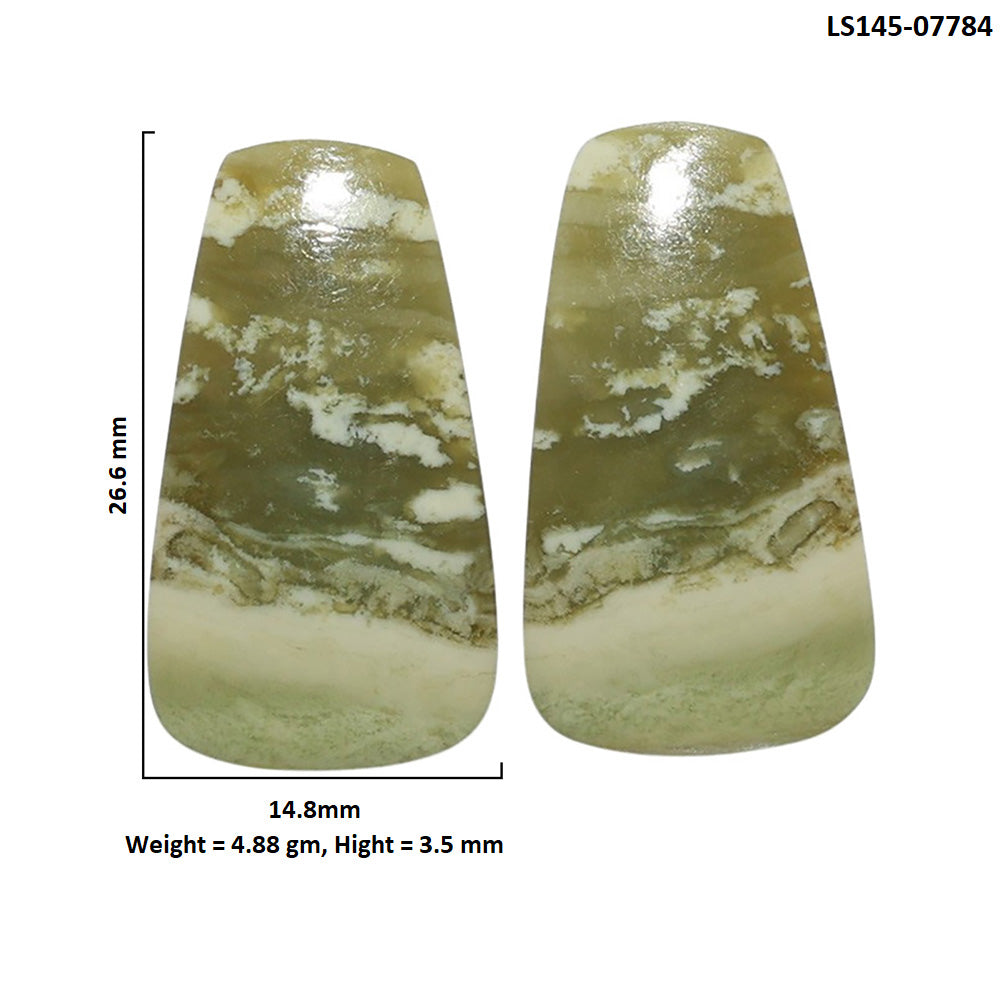 Serpentine Pair 14.8x26.6x3.5 mm Fancy Shape Polished Gemstone LS148-07784