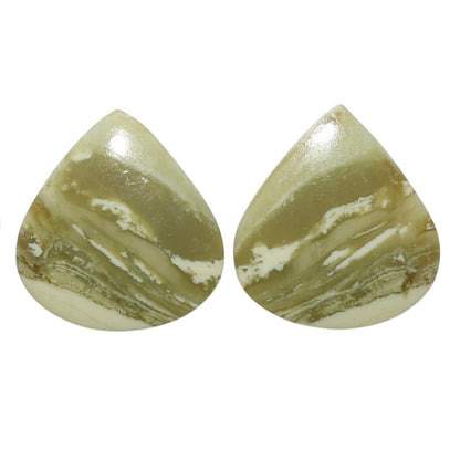 Serpentine Pair 20.5x22.1x3.4 mm Heart Shape Polished Gemstone LS148-07793