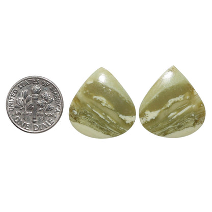 Serpentine Pair 20.5x22.1x3.4 mm Heart Shape Polished Gemstone LS148-07793