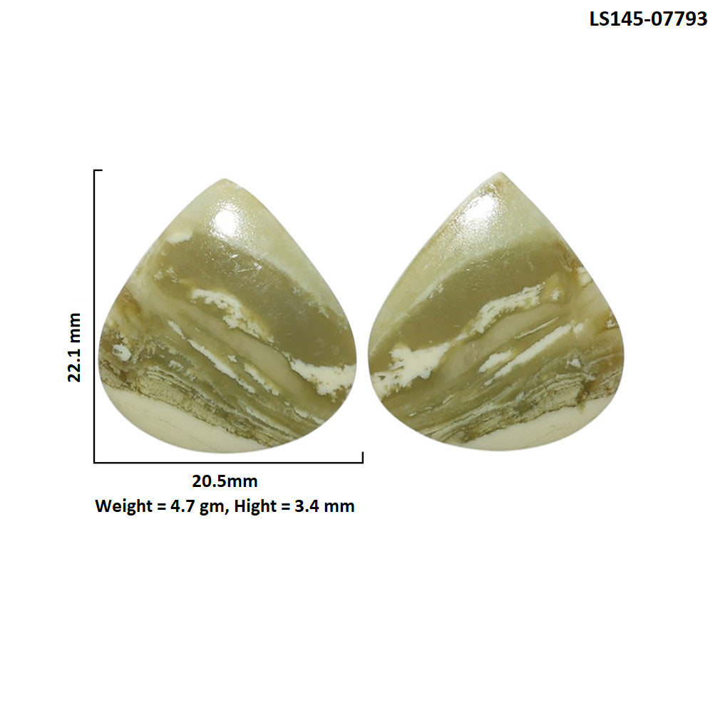 Serpentine Pair 20.5x22.1x3.4 mm Heart Shape Polished Gemstone LS148-07793