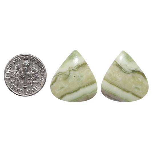 Serpentine Pair 19.6x21.4x3.3 mm Heart Shape Polished Gemstone LS148-07795