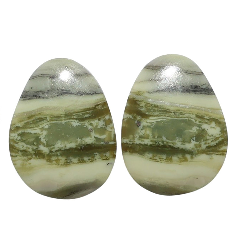 Serpentine Pair 16.7x22x3 mm Fancy Shape Polished Gemstone LS148-07796