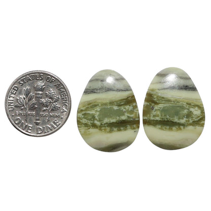 Serpentine Pair 16.7x22x3 mm Fancy Shape Polished Gemstone LS148-07796