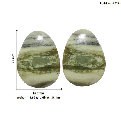 Serpentine Pair 16.7x22x3 mm Fancy Shape Polished Gemstone LS148-07796