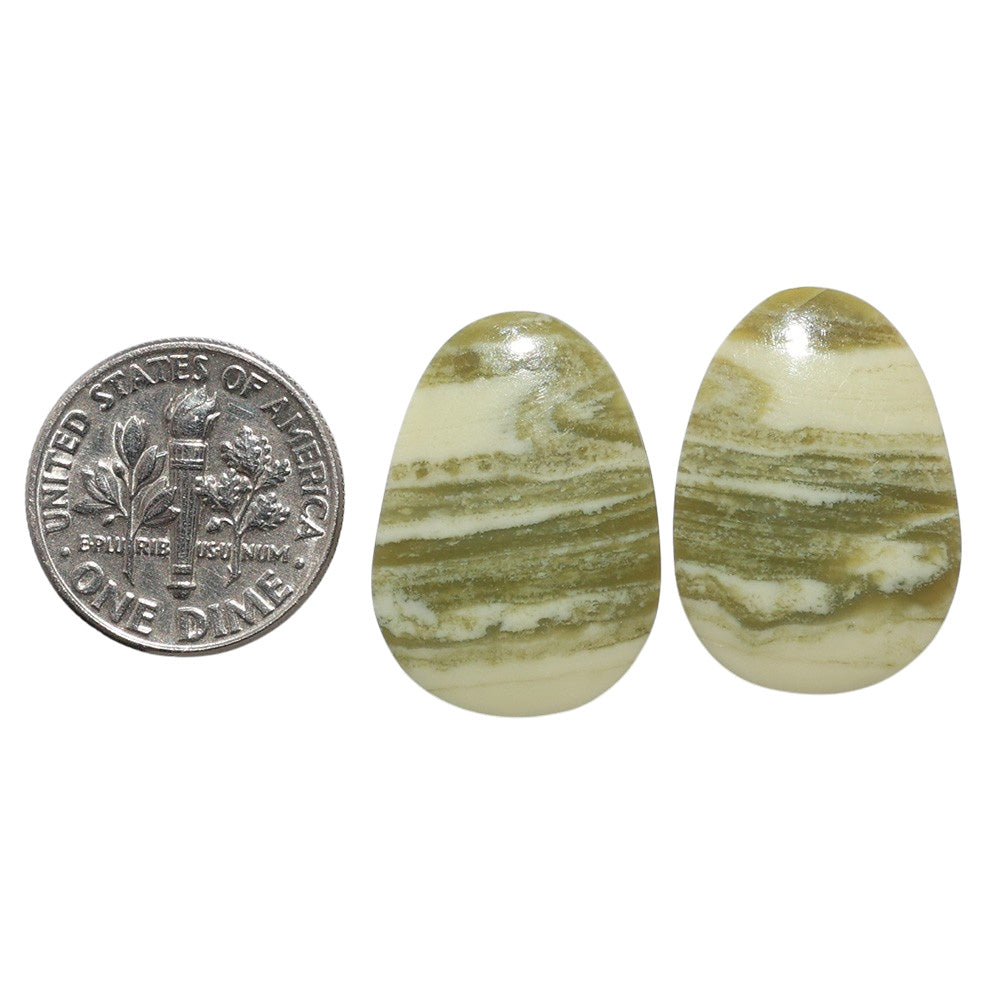 Serpentine Pair 16x22.6x3.4 mm Fancy Shape Polished Gemstone LS148-07797