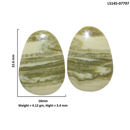 Serpentine Pair 16x22.6x3.4 mm Fancy Shape Polished Gemstone LS148-07797