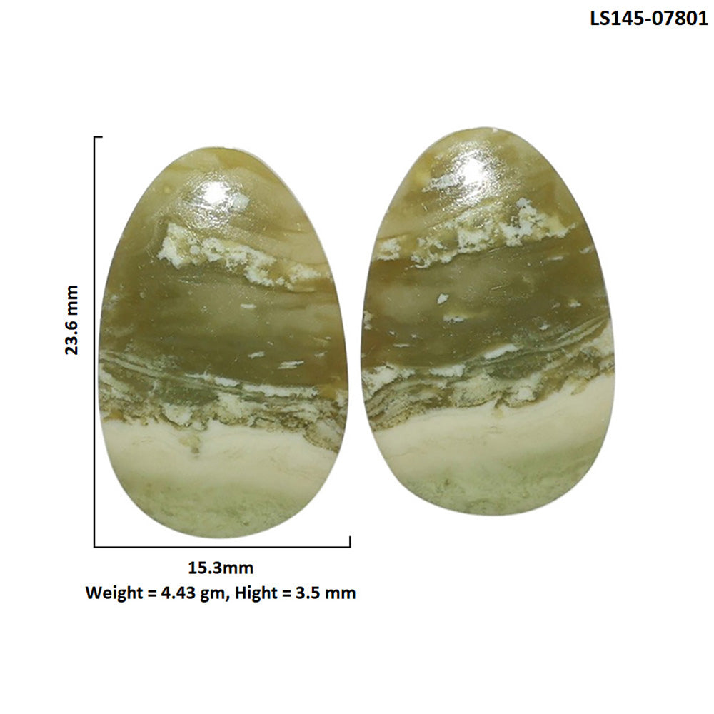 Serpentine Pair 15.3x23.6x3.5 mm Fancy Shape Polished Gemstone LS148-07801