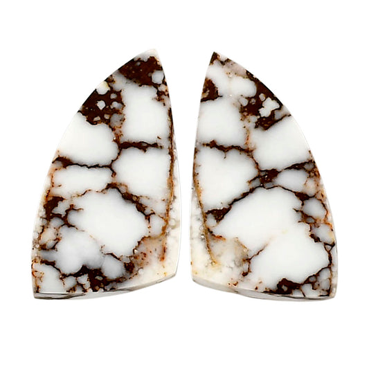 Wild Horse Jasper Pair 13.2x24.7x4.5 mm Fancy Shape Polished Gemstone LS15-04738