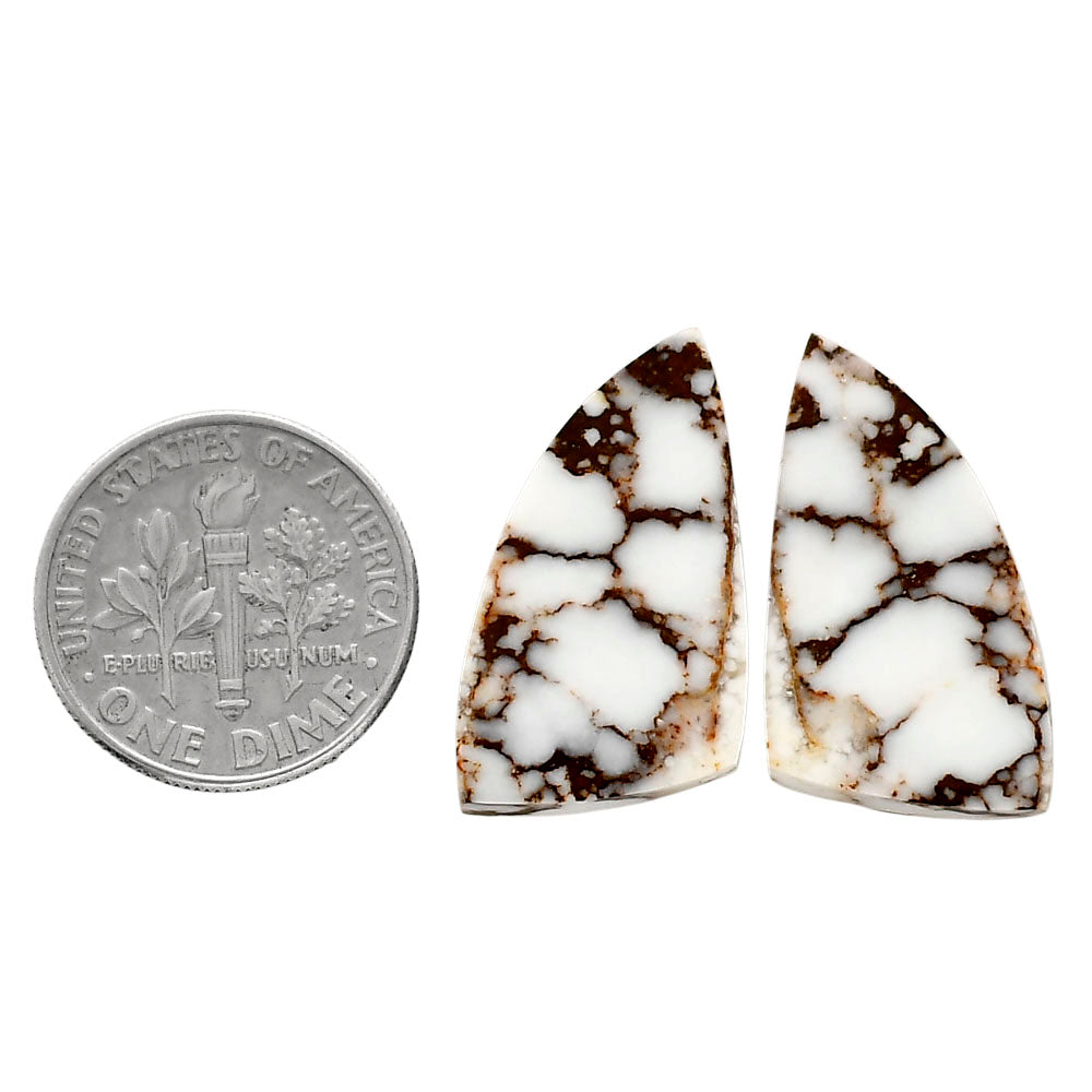 Wild Horse Jasper Pair 13.2x24.7x4.5 mm Fancy Shape Polished Gemstone LS15-04738