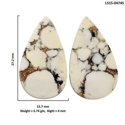 Wild Horse Jasper Pair 15.7x27.2x4 mm Pear Shape Polished Gemstone LS15-04745